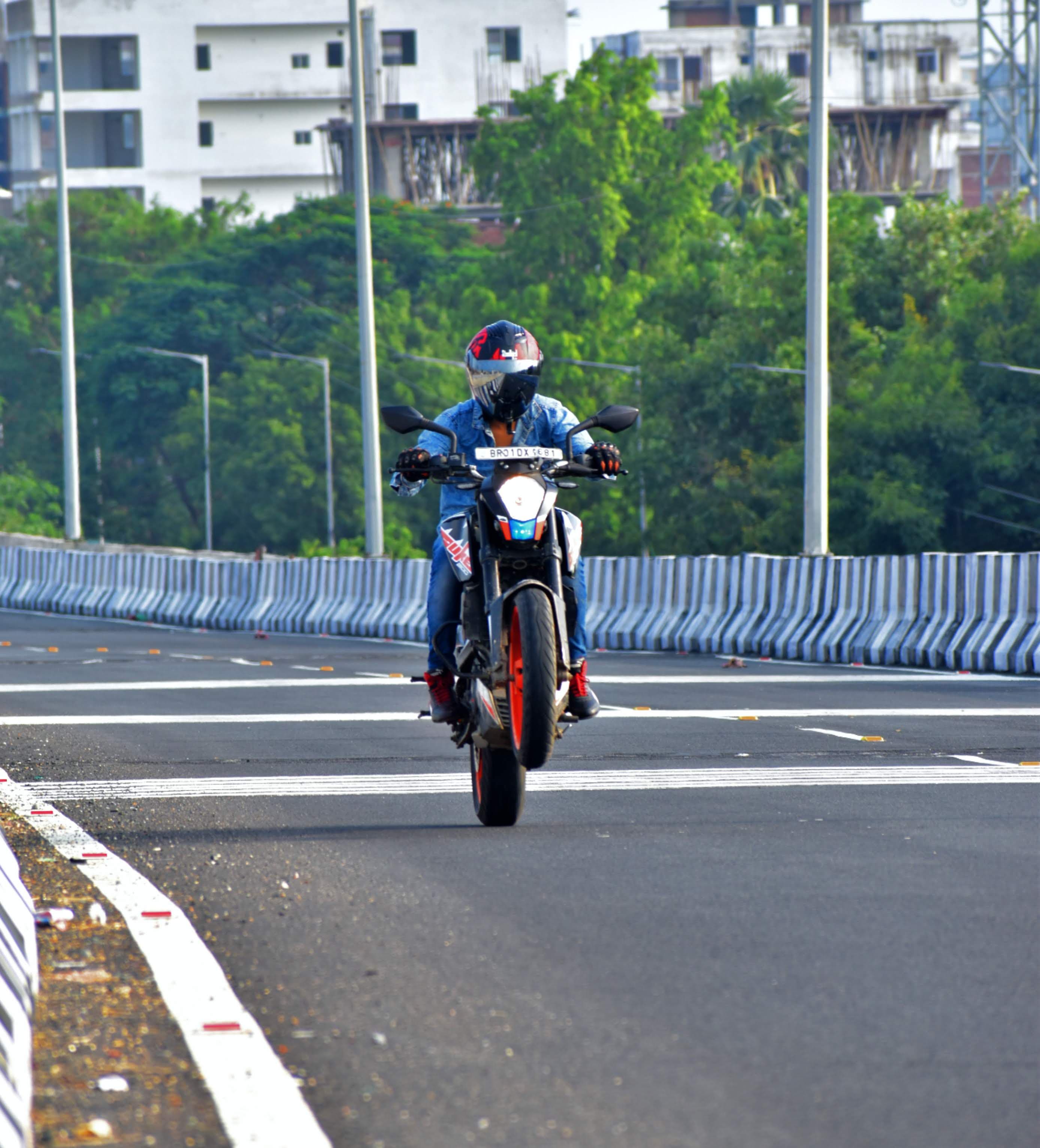 A third portrait of Swas