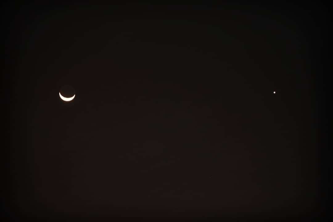 A second portrait of Swas